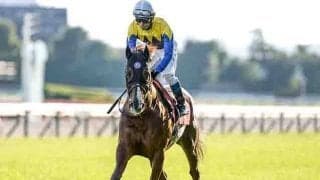 【京都大賞典想定騎手】ボッケリーニは浜中俊騎手、アリストテレスは鮫島克駿騎手