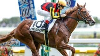 【サウジアラビアRC予想オッズ】ノッキングポイントが予想1番人気