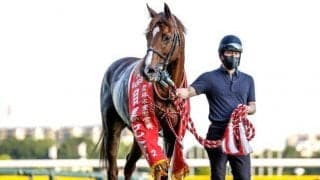 【京都大賞典予想オッズ】ボッケリーニが予想1番人気