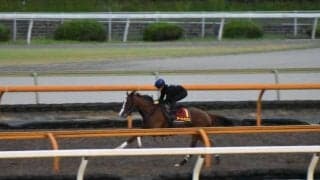 アートハウス、秋華賞1週前追い切り速報/栗東トレセンニュース