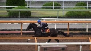 サウンドビバーチェ、秋華賞1週前追い切り速報/栗東トレセンニュース