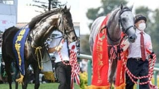 牡馬クラシック戦線を盛り上げた実績馬と夏の上がり馬が激突 菊花賞(GI)出走想定馬22頭