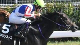 ダート全勝の”お祭り男”は2歳ダート路線の大一番を目標に 父にビッグタイトルプレゼント狙う