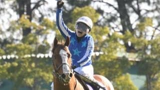 世界トップレベルの香港G1に春のスプリント王が登録