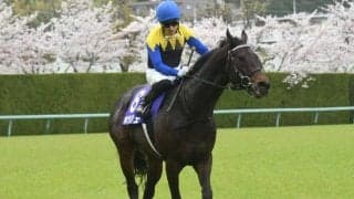 【毎日王冠予想】人気の中心となるかは微妙なところだが、AIが指名した手頃な一頭とは…？