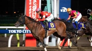 【東京盃】レッドルゼルが鮮やかな差し切り