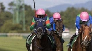 【京都大賞典展望】昨年に続き阪神開催、舞台の2400mは末脚勝負になりやすい