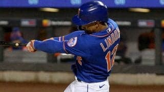 【MLB】「めっちゃ可愛い」犬が“HRキャッチ”する珍事　ファンほっこり「癒された」