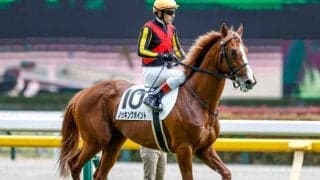 【サウジアラビアRC出走馬・騎手確定】ノッキングポイント＆C.ルメール騎手、シルヴァーデューク＆戸崎圭太騎手など9頭