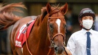 【毎日王冠出走馬・騎手確定】サリオス＆松山弘平騎手、レイパパレ＆川田将雅騎手など10頭