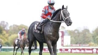 ディープボンド・エントシャイデンがフランス遠征から帰国 