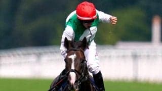 キングジョージ覇者がジャパンC参戦を視野に BCターフ回避で可能性高まる