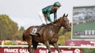 ヴァデニ現役続行表明で早くも来年の凱旋門賞に照準 ロイヤルアスコットにも出走か