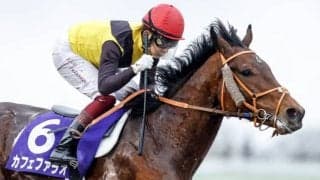 【盛岡・マイルCS南部杯出走予定馬】カフェファラオ、アルクトスら