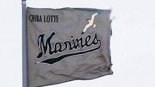 ロッテ、育成選手のサントスとペラルタに戦力外通告　ともに2021年に加入