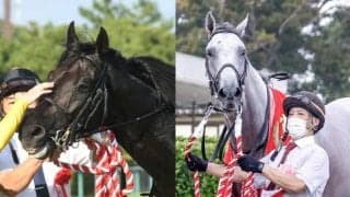 東西トライアル覇者が激突 牡馬クラシック最終戦・菊花賞に22頭が登録予定