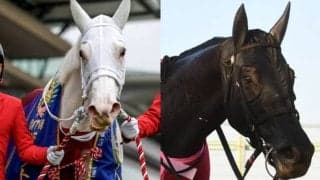 『白毛の女王』ソダシ、名牝エアグルーヴを祖母に持つ良血姉妹が登場 府中