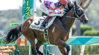 【サウジアラビアRC予想】楽な競馬には「○○」も関係!? 前走「快勝」も過信禁物なワケ