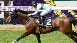 京都大賞典は「ステイゴールド×メジロマックイーン」の血が騒ぐ。狙いは芝2400ｍにピッタリの隠れた実力馬２頭