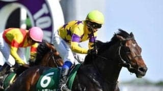 毎日王冠に臨むＧＩ馬４頭にはつけ入る隙あり。期待は上昇ムードにある素質馬２頭の激走