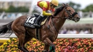 【毎日王冠予想】ポテンシャルはGI級!? 団子状態で一発狙えるピンかパーの「オススメ穴馬」とは