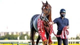 【京都大賞典枠順確定】ボッケリーニは2枠2番、アリストテレスは3枠3番