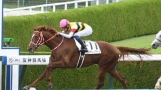 【阪神6R新馬戦結果】コンティノアールが押し切って人気に応える