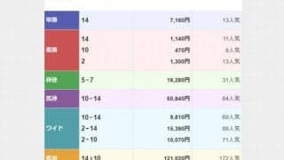 阪神8Rで波乱！ 13-8-12番人気決着で3連単は260万オーバー