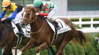 10月8日競馬開催の出来事一覧 ハーツクライ産駒JRA通算1400勝など/東京・阪神