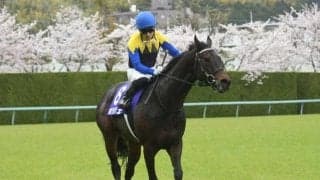 【今日の注目ポイント】東京メインの毎日王冠でGI馬4頭が激突