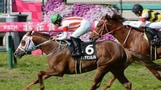 京都大賞典は今年も荒れる。開幕週でも差しが決まる阪神で末脚強烈な伏兵２頭が波乱を起こす