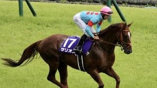 【毎日王冠・馬体重】サリオスは534kg(+6)、レイパパレは440kg(0)