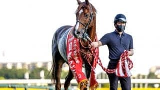 【京都大賞典前日オッズ】ボッケリーニが3.6倍で1番人気