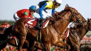 【京都大賞典予想】複勝率「70.0％」でも危うい!? 堅実な走りが発揮できない可能性