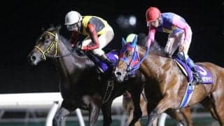 無敗3連勝中のスペシャルエックスは2枠2番/川崎・鎌倉記念枠順