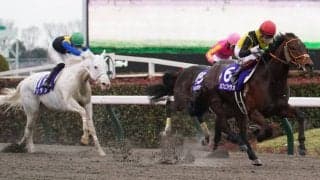 【南部杯】カフェファラオは2枠4番