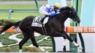 【新馬/東京4R】ドゥラメンテ産駒 ネイビースターがデビューV