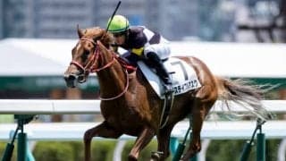 10月9日の競走中止、出走取消、疾病の一覧 ステイブルアスク出走取消など/東京・阪神