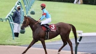 【毎日王冠】松山「自信を持って乗った」サリオスがレコードV