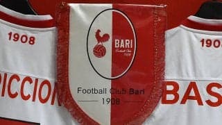 Tバック姿で愛するチームを応援する22歳女子大生が警察の捜査対象に…本人は「自由に見せるのは私の選択」と主張