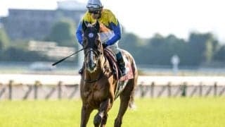 【今日の注目ポイント】阪神で京都大賞典、盛岡ではマイルCS南部杯