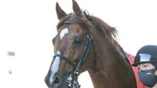 【京都大賞典予想】開催場変更の影響あり!? 秋の古馬中長距離戦線を占う伝統の一戦