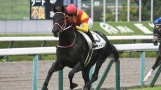 【阪神4R新馬戦結果】スーパーアグリが勝利　矢作厩舎は今週の新馬戦4戦4勝