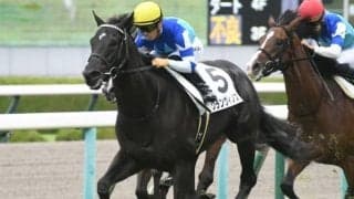 【阪神5R新馬戦結果】兄姉にGI馬3頭の良血グランヴィノスが白星発進
