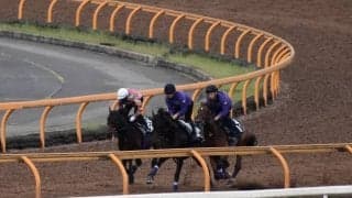 母は8戦無敗で仏G1を2勝 ルモンドブリエが初陣/関西馬メイクデビュー情報/関西馬メイクデビュー情報