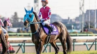 【東京ハイジャンプ】オジュウチョウサン、ホッコーメヴィウスらが登録