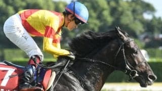 【菊花賞】ジャスティンパレス、ガイアフォースらが登録