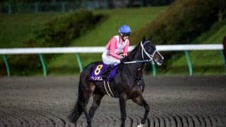 【南部杯】武豊「手応えがひと息」ヘリオスは勝ちに等しい2着