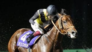 【南部杯】福永「内を見ないようにした」レース後ジョッキーコメント