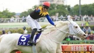 【府中牝馬S登録馬】ソダシなど17頭